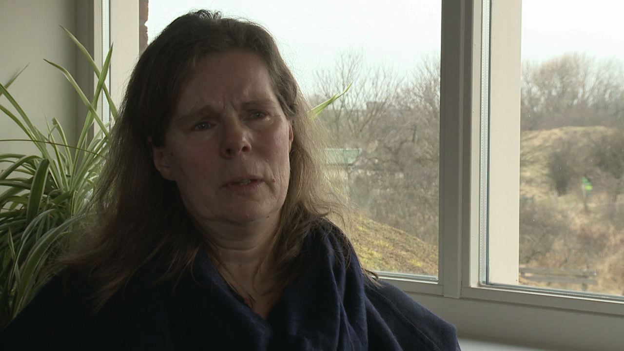 Arte programmes online